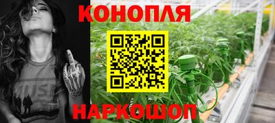 гашик Лесосибирск