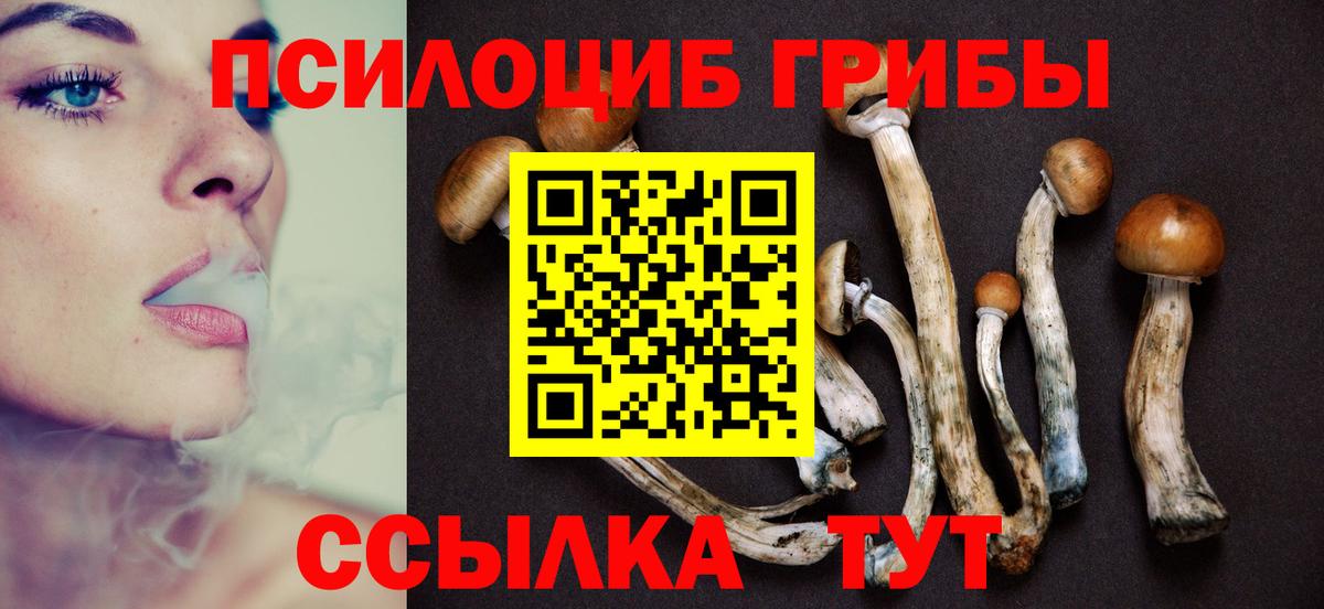 Галлюциногенные грибы мухоморы  Вход с VPN  Галлюциногенные грибы прущие грибы  Ухта 